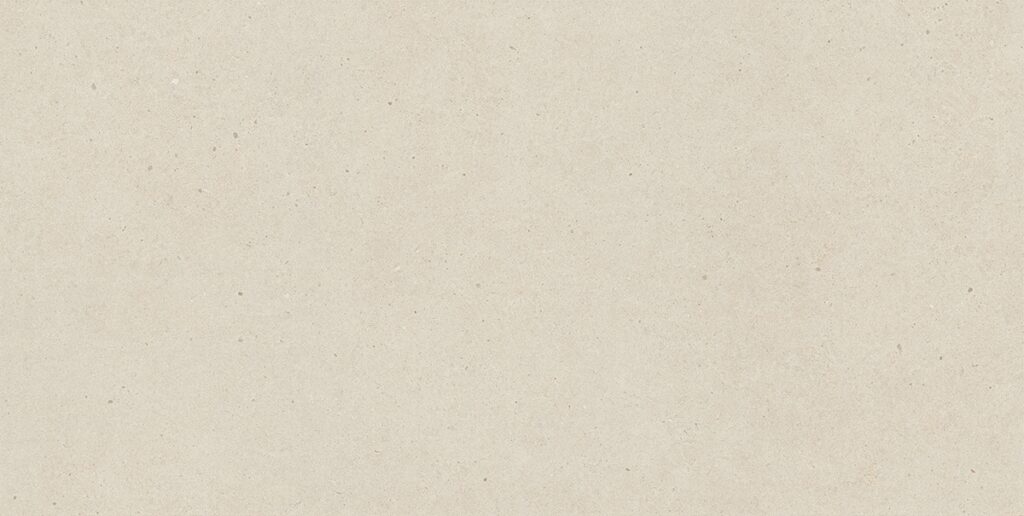Керамогранит Nexion Alpi Argento Lithic 600х1200х9 Absolute Matte