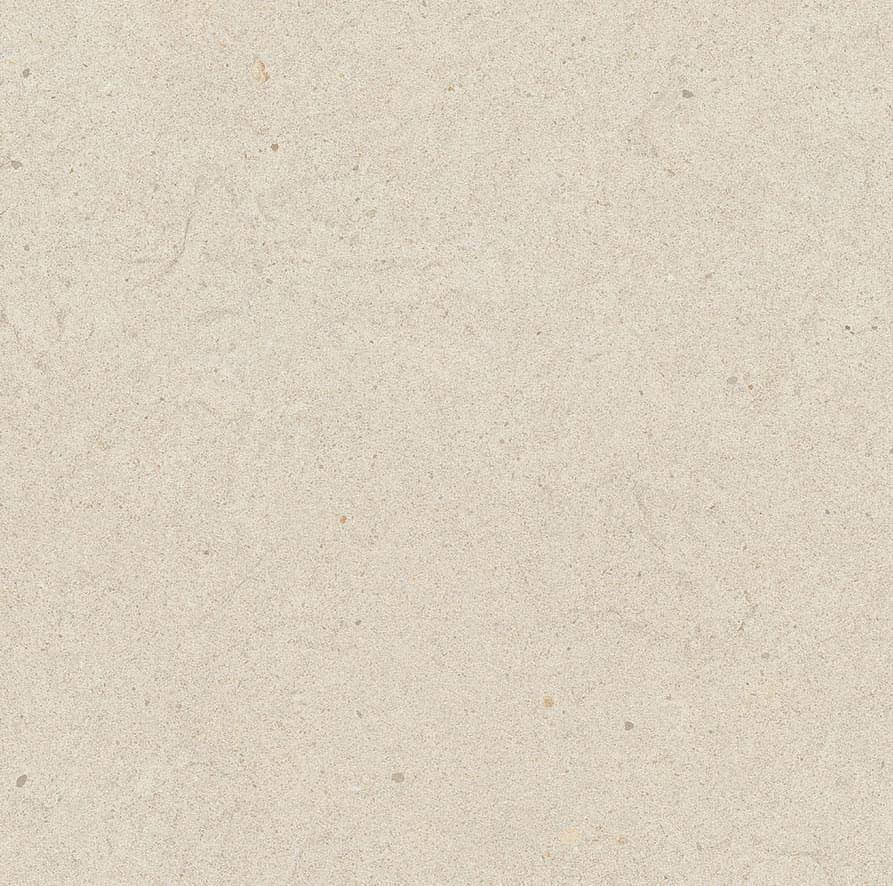 Керамогранит Nexion Alpi Argento Lithic 600х600х9 Absolute Matte