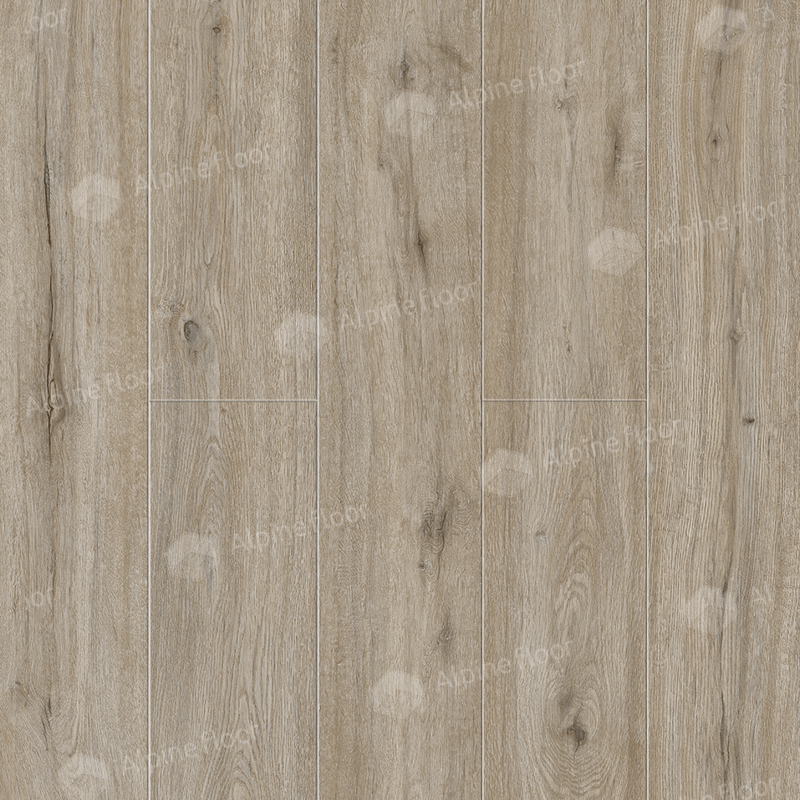 SPC ALPINE FLOOR Solo Plus Прэсто ЕСО 14-801 MC 18,3×122 Замковый