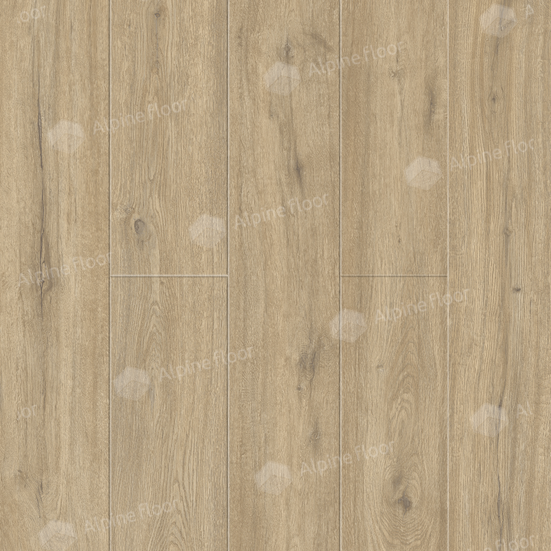SPC ALPINE FLOOR Solo Plus Анданте ЕСО 14-1001 MC 18,3×122 Замковый