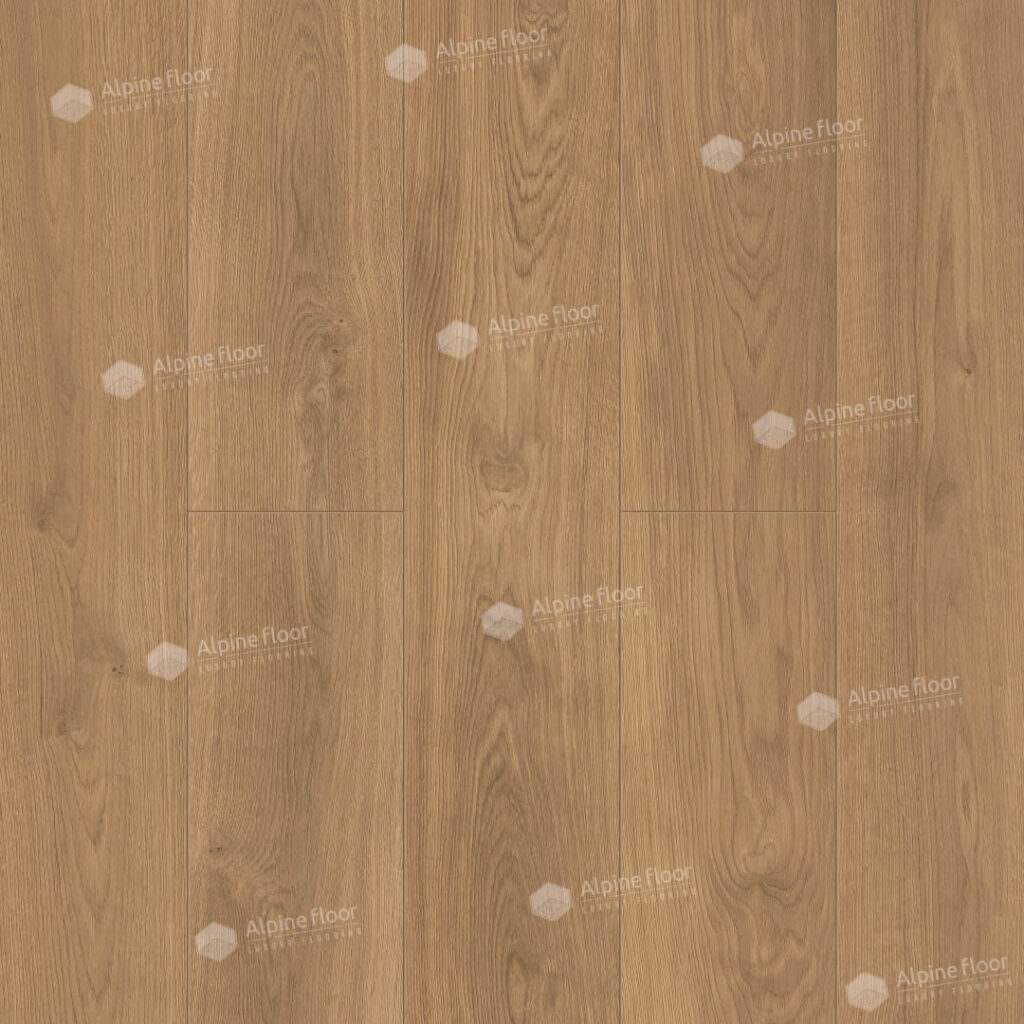 SPC ALPINE FLOOR by Classen ProNature Дуб Шайо Oak Sajo 64637 24,6×129 Замковый