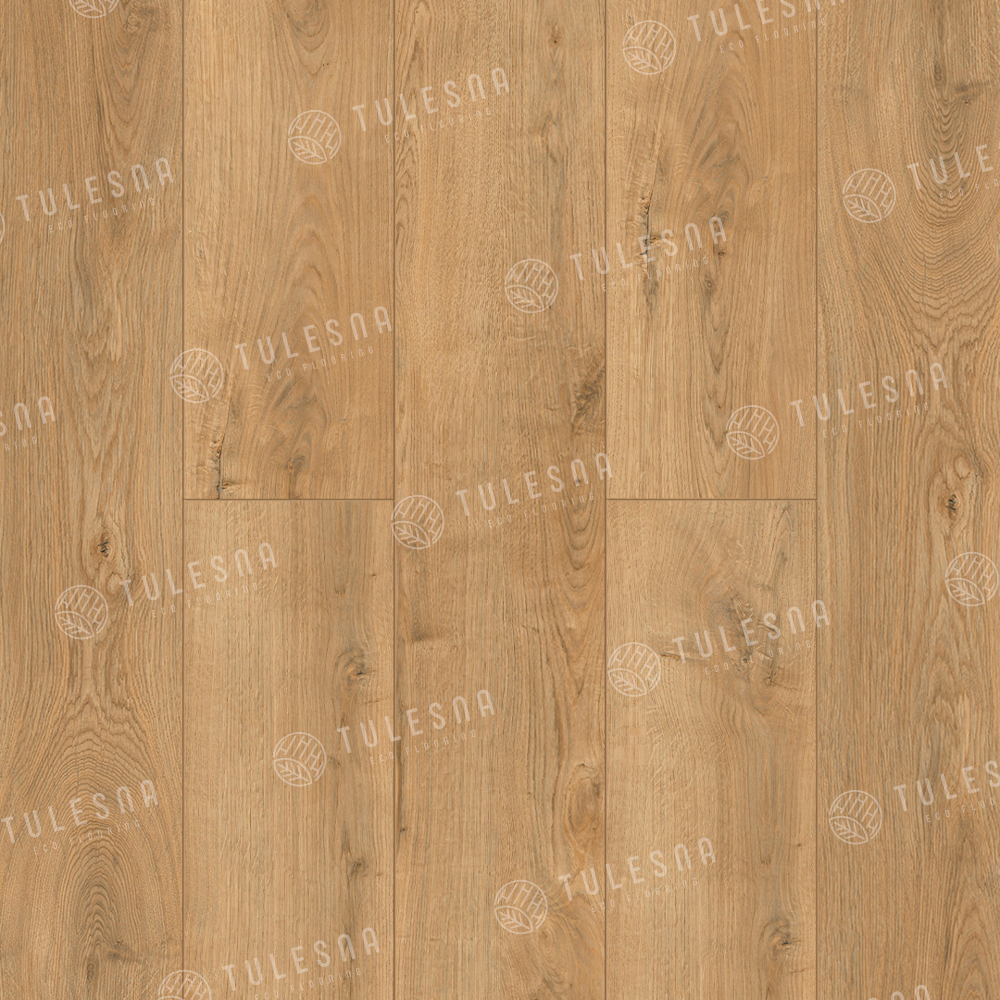 SPC TULESNA Premium Горный хребет Ande 1004-1701 18,3×122 Замковый