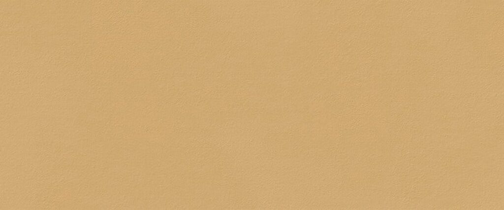 Плитка Fap True Color Caramel Matt 50×120