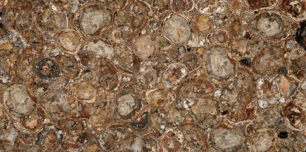 Плитка Marmocer Petrified Wood (Round) (Compound With Granit)