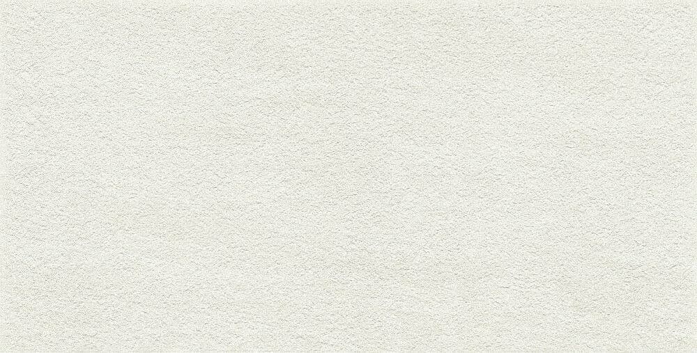 Керамогранит ERGON Elegance Pro White Bocciardato 60×120