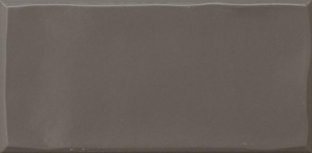 Плитка ERGON Tr3nd Majolica Shiny Brown 12,5×25