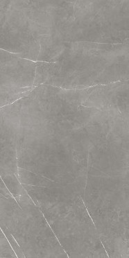 Керамогранит ATLAS CONCORDE RUSSIA FDM Elegant G. Rett 60×120 Cer/ФДМ Элегант Г. Рет 60Х120 Чер 60×1
