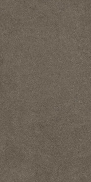 Керамогранит ATLAS CONCORDE RUSSIA FDMR Alpin Br. Rett 60×120/ФДМP Алпин Бр. Рет 60×120 60×120