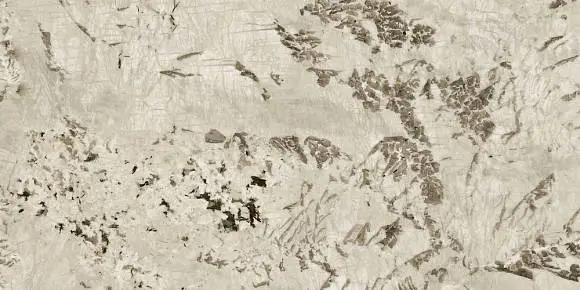 Керамогранит ATLAS CONCORDE Marvel Epic Alpinus 60×120 60×120