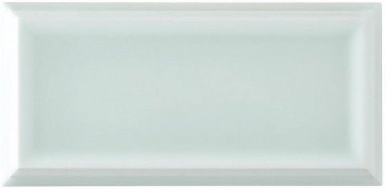 Плитка ADEX LISO FRAMED FERN 7.3 X 14.8 7,3×14,8
