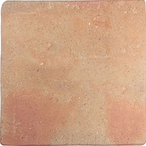 Керамогранит WOW ROOTS L COTTO 22×22