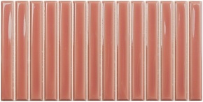 Плитка WOW SB CORAL 12,5×25