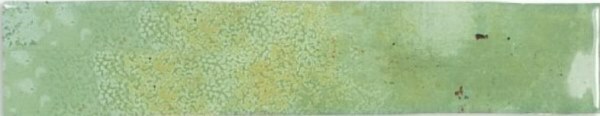 Плитка DNA ENAMEL MOSS 5×25 см 5×25