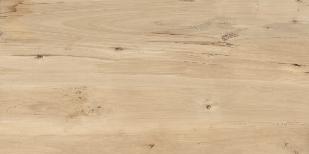 Керамогранит BUONO CERAMICA Forest Sweet Home Matt 60×120