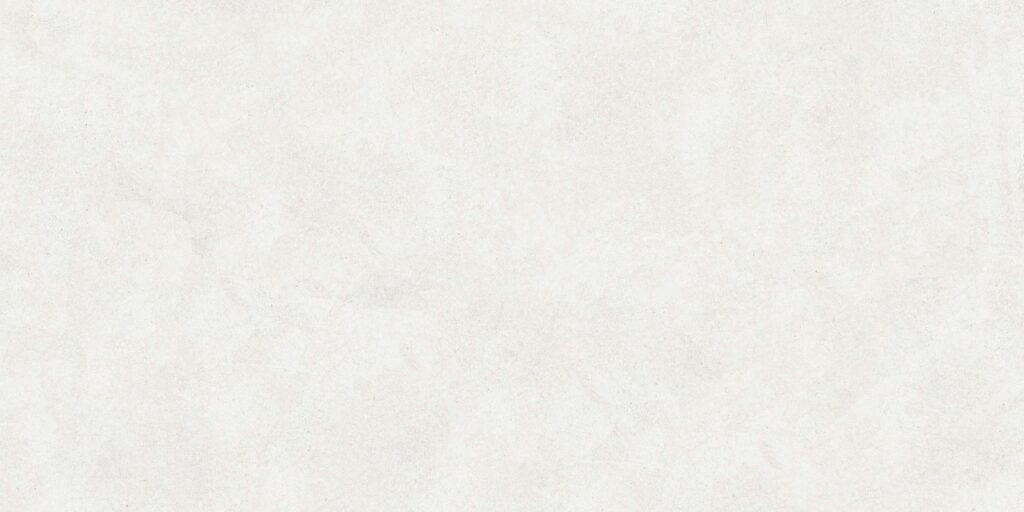 Керамогранит BUONO CERAMICA Emma Fiore Base Matt 60×120