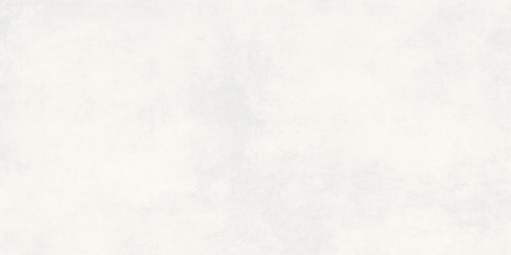 Керамогранит BUONO CERAMICA Clayton Colori Snow Matt 60×120