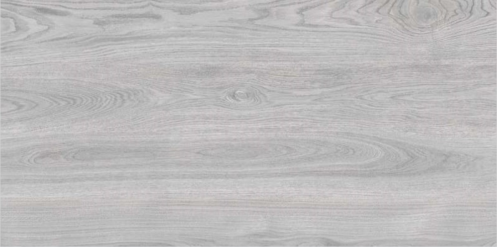 Керамогранит ITC INDIA Ariana Wood Grey Carving 60×120