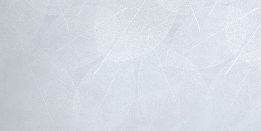 Керамогранит INFINITY CERAMICA Eleganza Sky Arte Carving 60×120