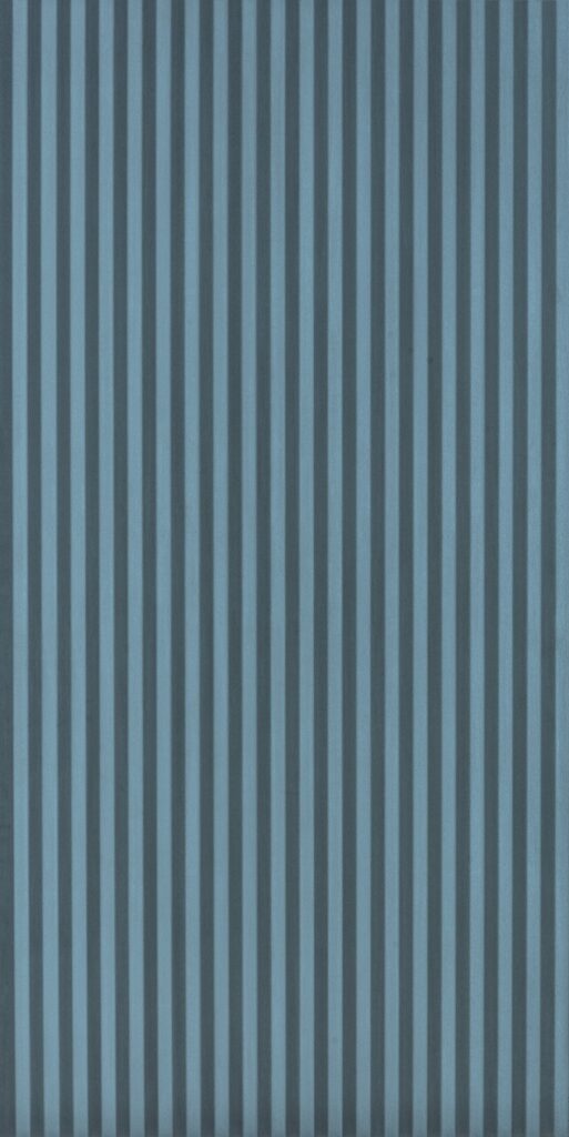 Керамогранит PIEMME CERAMICHE Homey 05985 Cannete Denim 60×120
