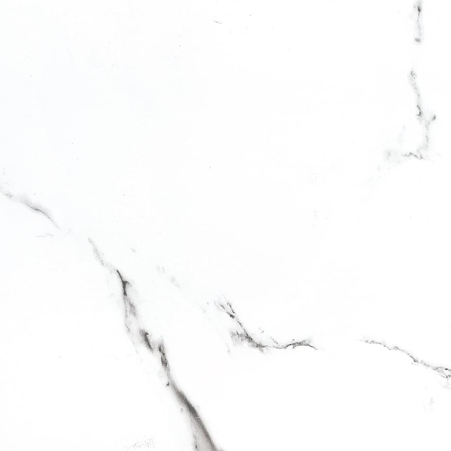 Керамогранит NT CERAMIC Bright and Shiny NTT9100 60×60