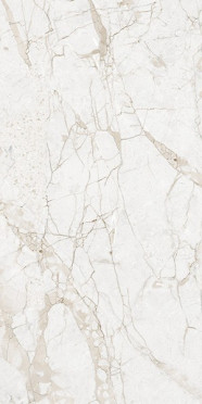 Керамогранит NT CERAMIC Marmo Impero Grey Carving 60×120