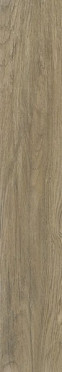 Керамогранит NT CERAMIC Wood Honey Mat 20х120