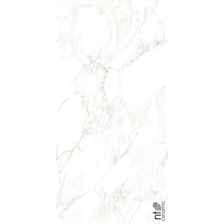 Керамогранит NT CERAMIC Marmo Marble Extra Endless 60×120