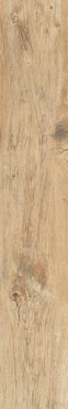 Керамогранит NT CERAMIC Wood Grand Sunny 20х120