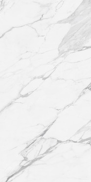 Керамогранит NT CERAMIC Marmo Artic Statuario Carving 60×120