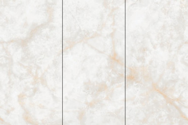 Керамогранит NT CERAMIC Atlas Wide Li Susu Dragon 120х240