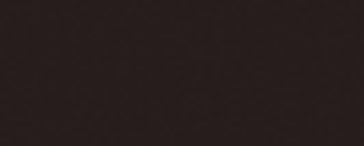 Плитка VIVES Satinados Negro Mate 20×50