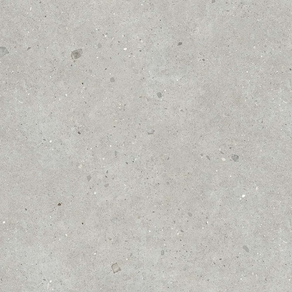 Керамогранит FLORINA CERAMICS  Heliostone Meteor Grigio Matt. 120×120