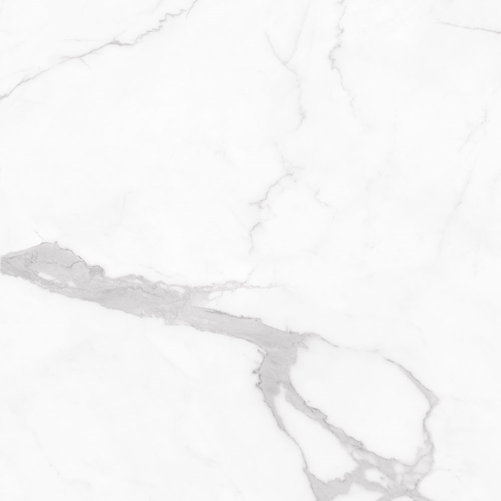 Керамогранит FLORINA CERAMICS  Marmogres Marmogres Statuario Top Honed 120×120
