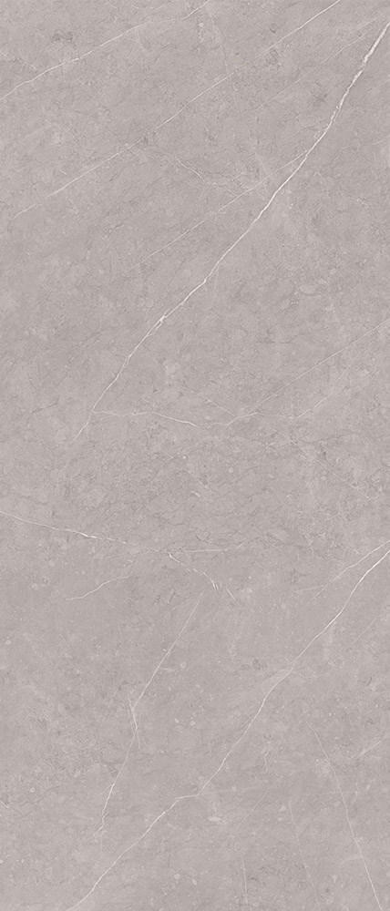 Керамогранит FLORINA CERAMICS  Slab Pietra Grey Light Matt. 120×278