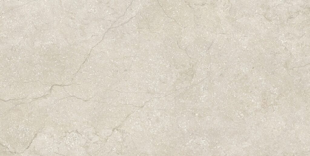 Керамогранит Florim Stone Life Shell 9 Mm 60×120