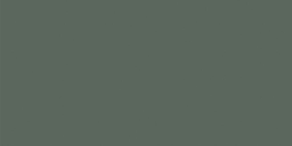 Керамогранит Motto Monotone Juniper 60×120