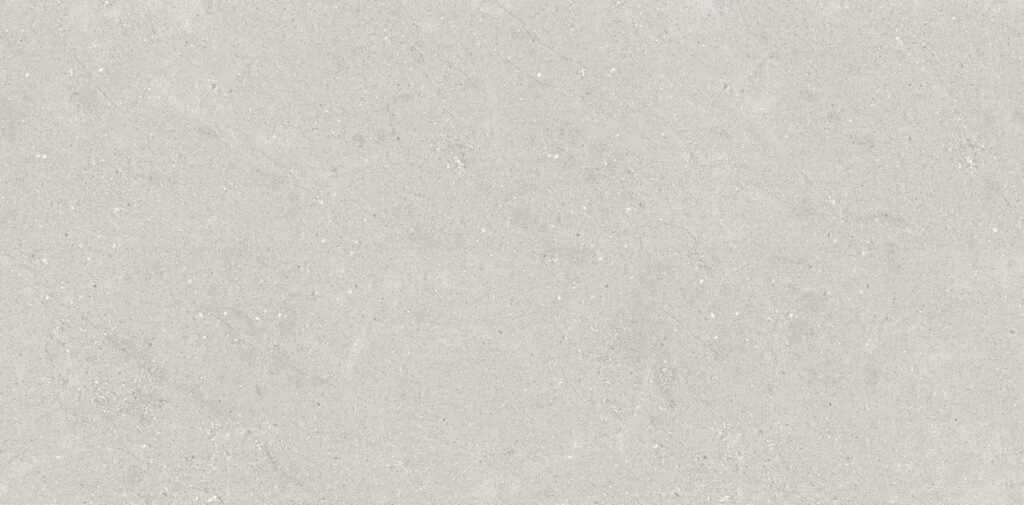 Керамогранит Neodom Liberty Grey Matt 60×120