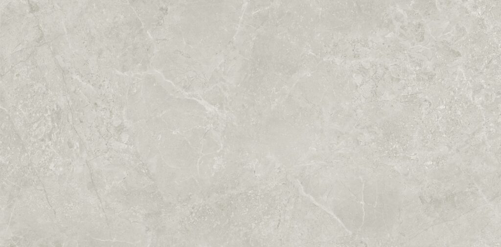 Керамогранит Neodom Borneo Grey Matt Carving 60×120