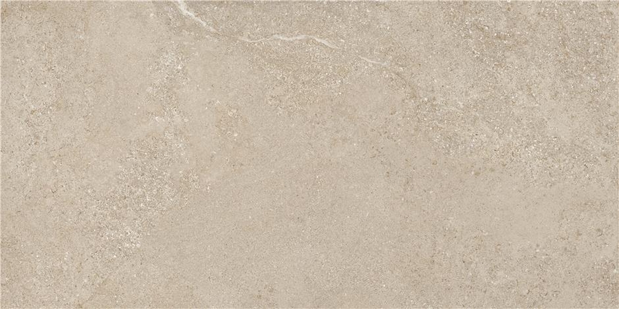 Керамогранит STN Ceramica Arenite Natural Matt. 60×120