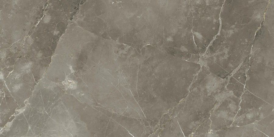 Керамогранит Италон Стеллариус Тус.Грэй 60×120
