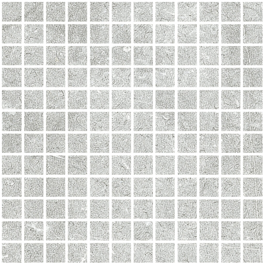 Керамогранит Living Ceramics Noon Mosaic 25 Grey Soft 30×30