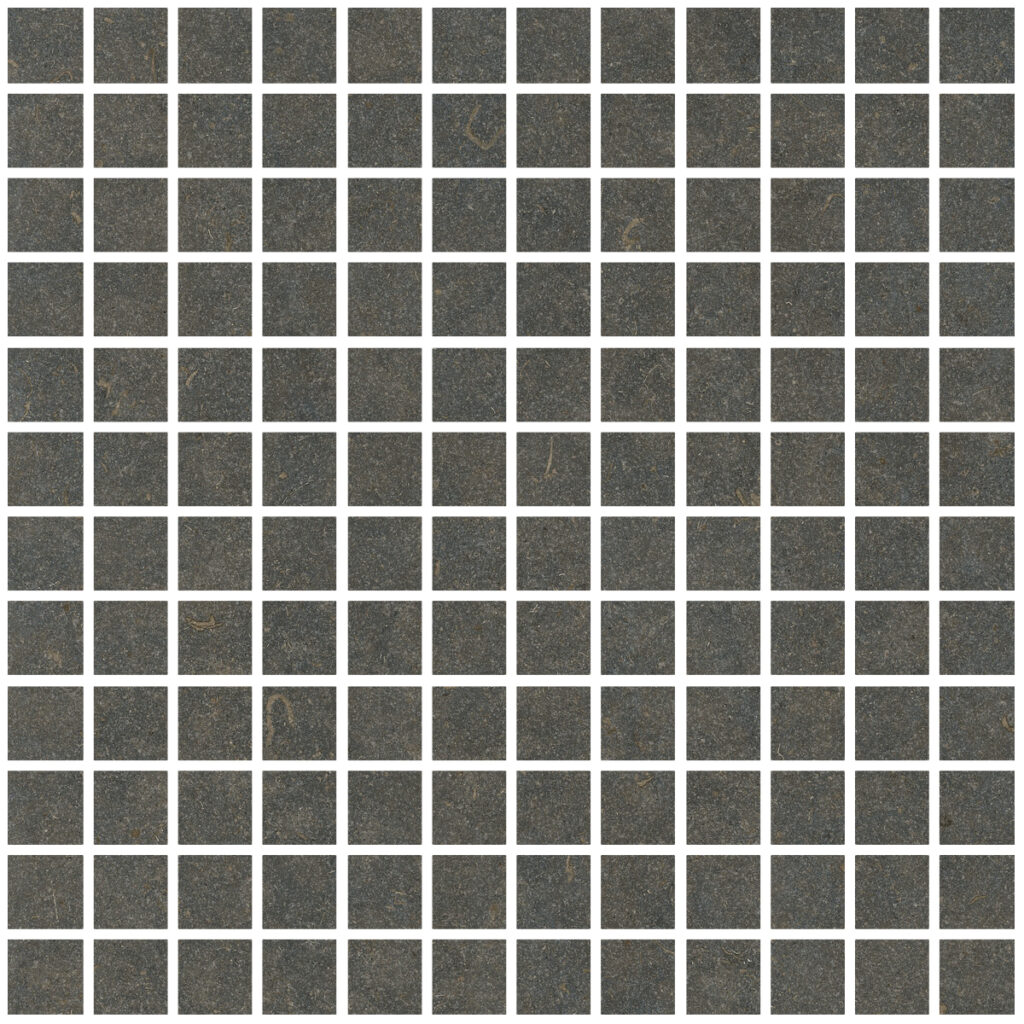 Керамогранит Living Ceramics Oda Classic Mosaic 25 Honed 30×30