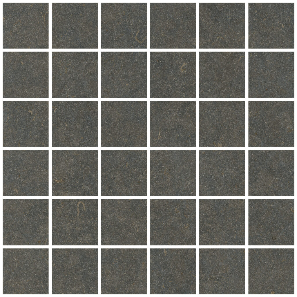 Керамогранит Living Ceramics Oda Classic Mosaic 55 Honed 30×30