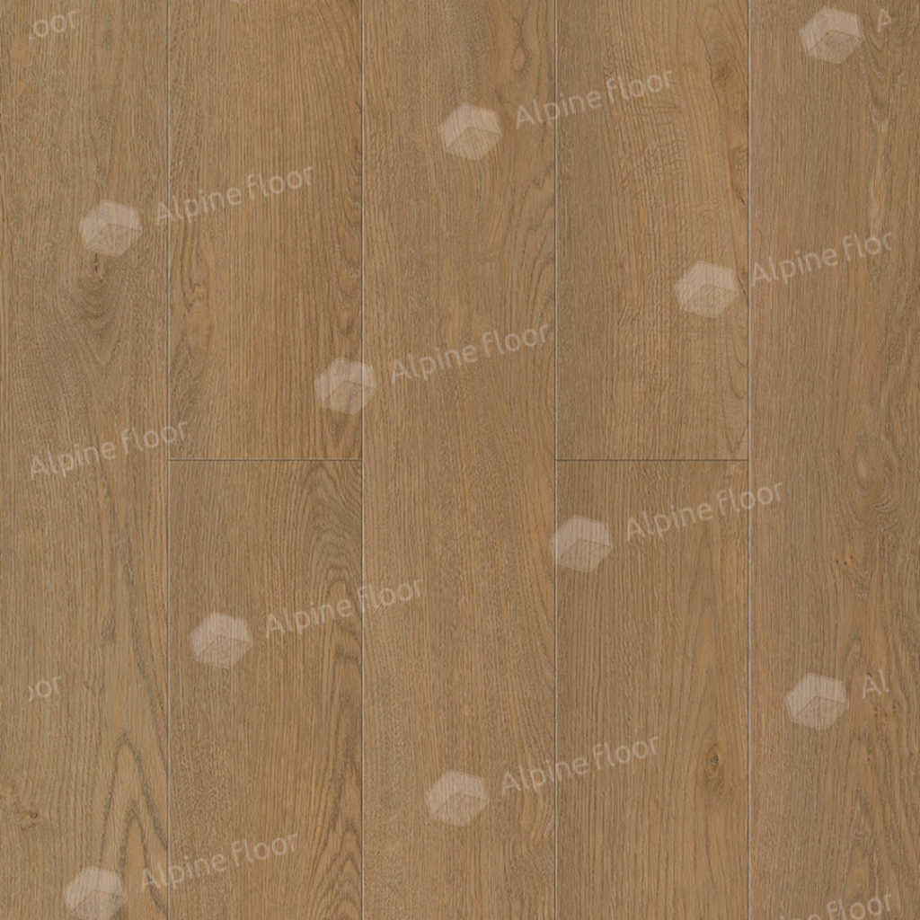 SPC ALPINE FLOOR Classic Клен Классический ECO 173-6 MC 18,3×122 Замковый
