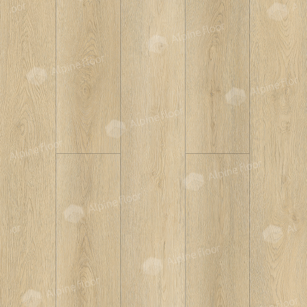 SPC ALPINE FLOOR Intense Тихий лес ЕСО 9-13 MC 18,3×122 Замковый
