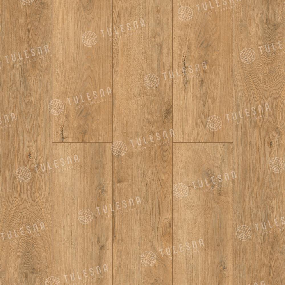 SPC TULESNA Ottimo Горный хребет Ande 1004-17 18,3×122 Замковый