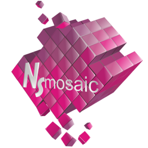 NS MOSAIC