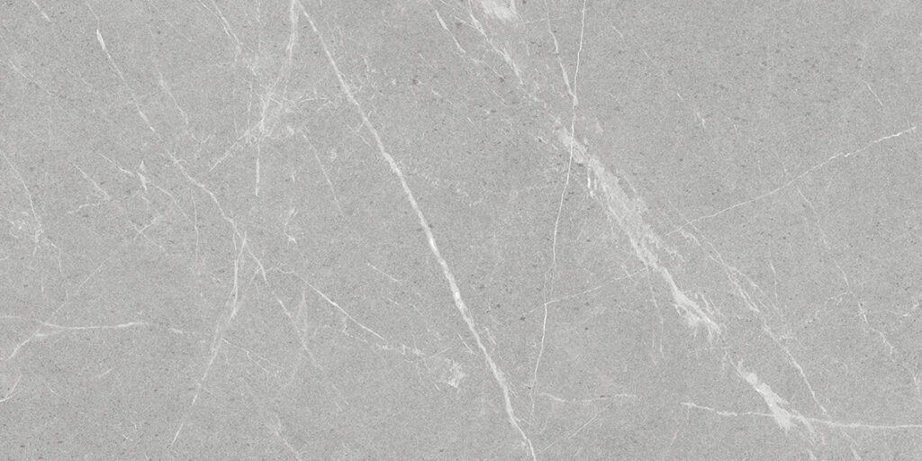 Керамогранит STARO Antislip  Dakota Gris 60×120