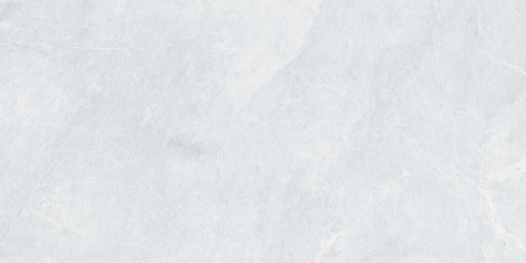 Керамогранит STARO Rizzi  Valencia Bianco Matt 60×120
