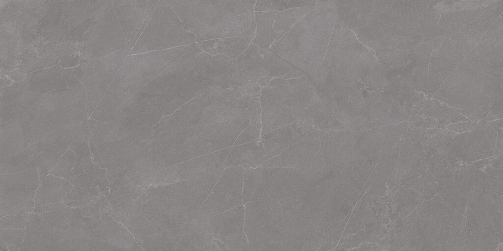 Керамогранит STARO Rizzi  Valencia Grey Matt 60×120